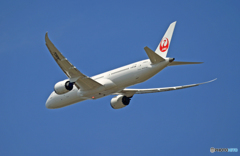 出発 JAL 787-9 JA863J