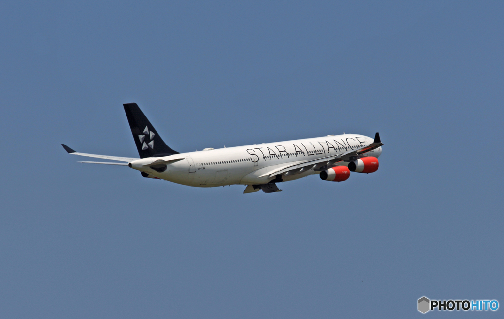 SAS STAR A340-313 OY-KBM 離陸 