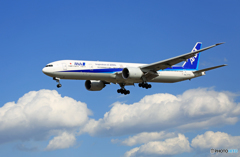 「青い空」が一番 ANA 777-381 JA777A