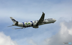 離陸 Finnair A330-300 OH-LTO