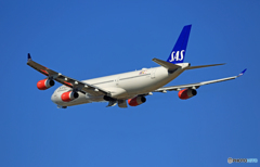 「そらー」 SAS A340-313 LN-RKF ☀