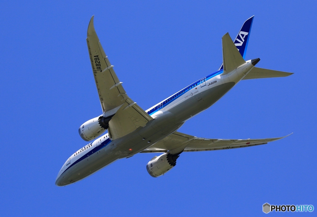 出発　ANA 787-8 JA829A