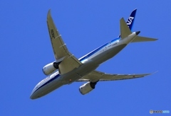 出発　ANA 787-8 JA829A