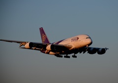 Thai Airways A380-841　初撮り