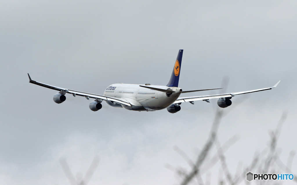 飛び立ち　LUFTHANSA A340-313 D-AGJ