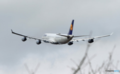 飛び立ち　LUFTHANSA A340-313 D-AGJ