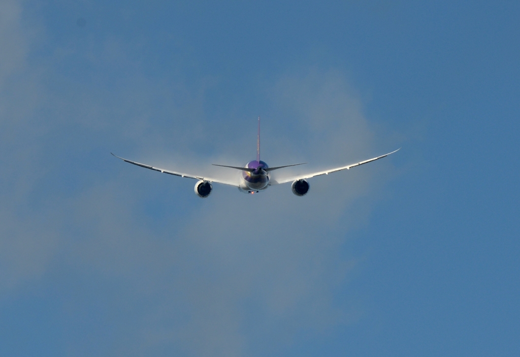 離陸（333）Thai 787-8 ﾍﾞｲﾊﾟｰ