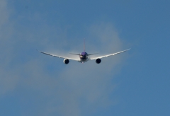 離陸（333）Thai 787-8 ﾍﾞｲﾊﾟｰ