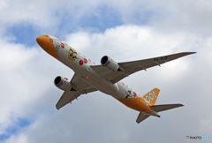 scoot 787-9 9V-OJE 出発　