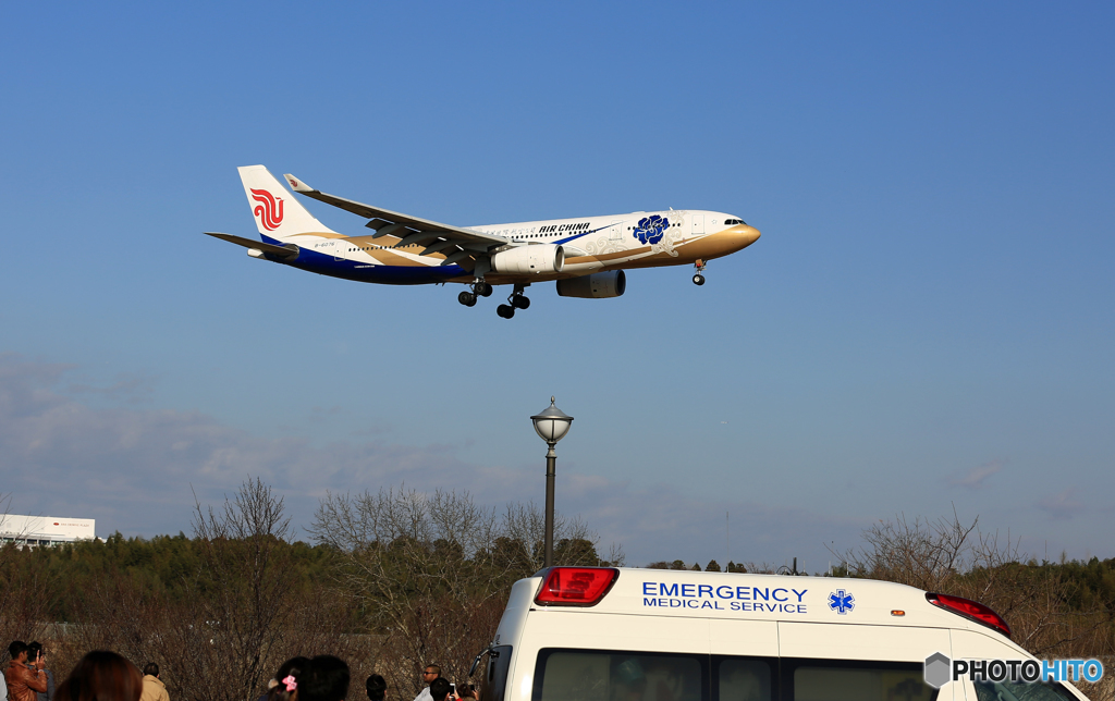 「ぶるー」Air China A330-343 B-6076着陸
