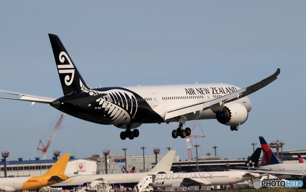 着陸　Air New Zealand 787-9 