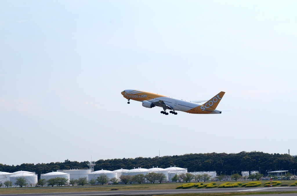 飛んでるScoot機