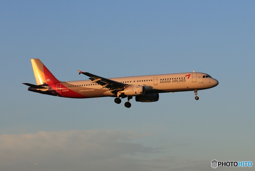 着陸　ASIANA A321-231 