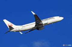 JAL 737-800 JA312J 出発 