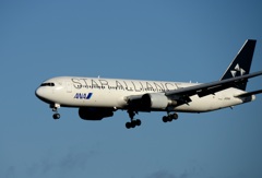 ANA 767-300 STAR ALLIANCE