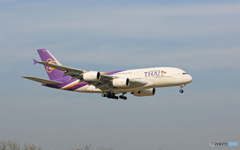 「青が大好き」 Thai A380-841 HS-TUA Landing 「青が大好き」 Thai A380-841 HS-TUA Landing
