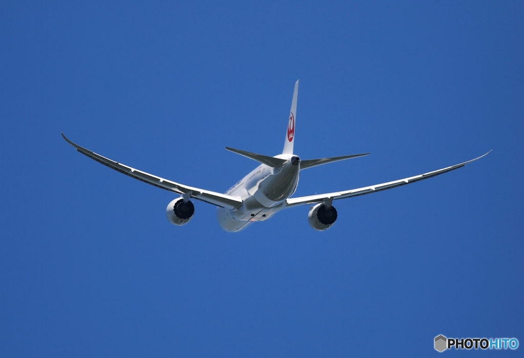 離陸　JAL 787-8 