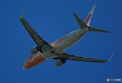 Air China 737-800 離陸　