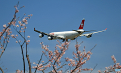 SWISS A340-313 HB-JMO 出発 