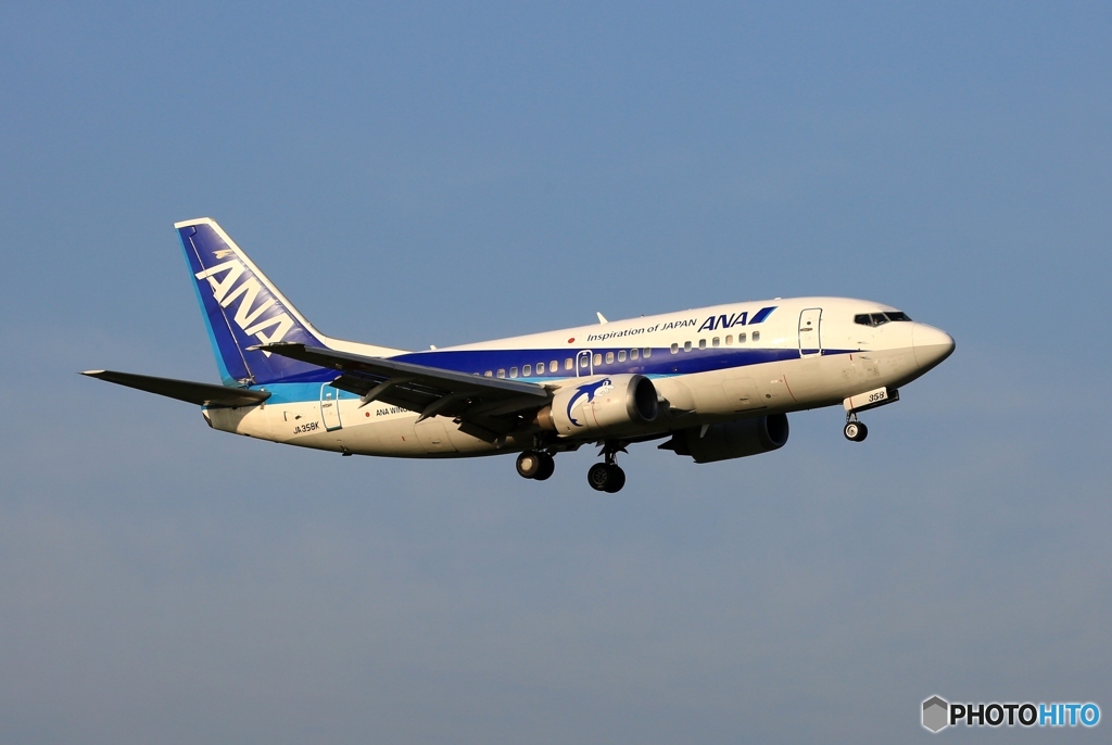 ANA 737-5L9 到着　