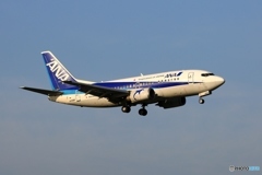 ANA 737-5L9 到着　