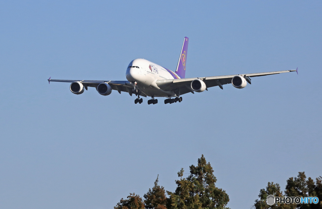 到着　THAI Airbus A380