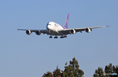 到着　THAI Airbus A380