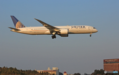 「空色」 United 787-9 N19951 到着 「空色」 United 787-9 N19951 到着