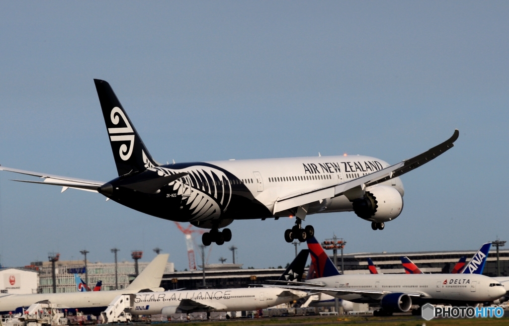 ✈Air New Zealand 787-9 ZK-NZG　