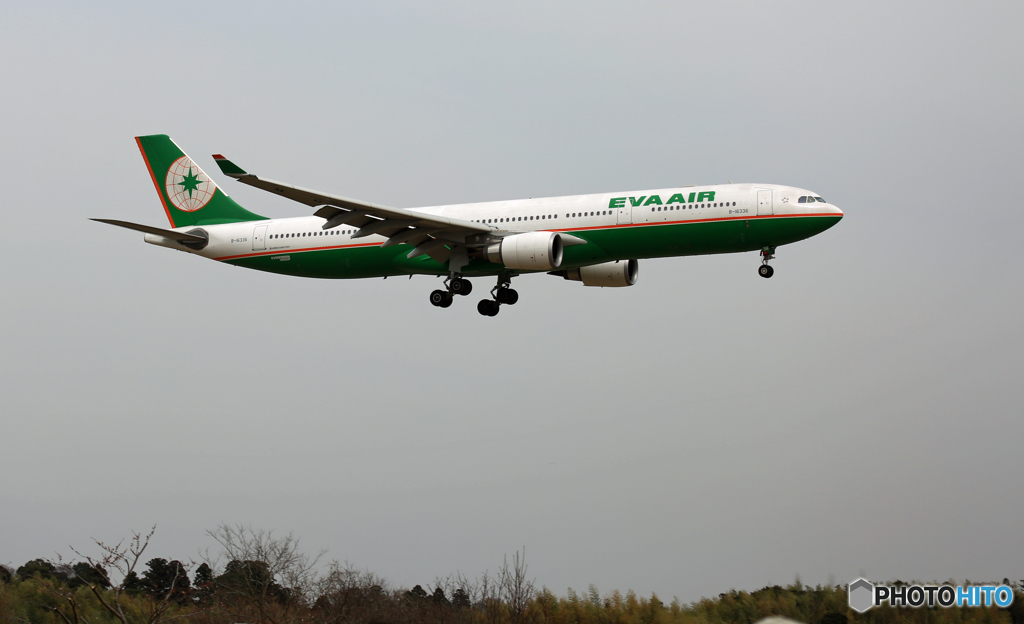 EVA A330-300 B-16336 到着 