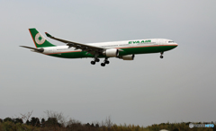 EVA A330-300 B-16336 到着 