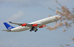 「赤いエンジン」  と  「さくら」