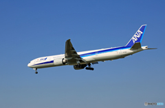 「青が好き」  ANA 777-381 JA782A  着陸