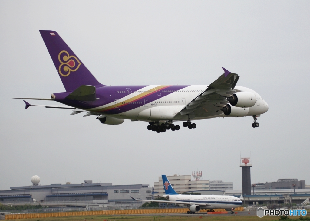 THAI A380-841