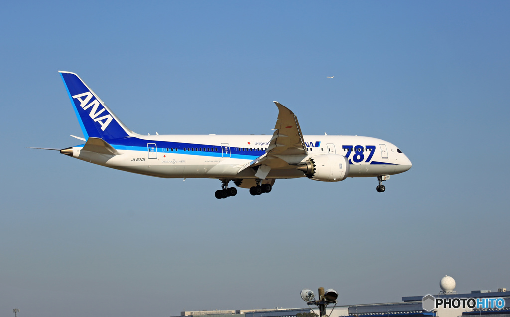 ANA 787-8 JA820A 到着 