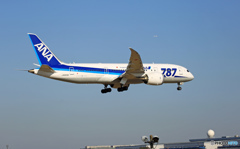 ANA 787-8 JA820A 到着 