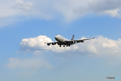 「空色」 UNITED 747-400 N181UA Landing