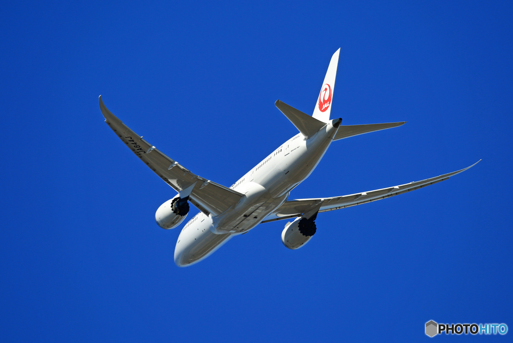 「空色」 JAL 787-8 JA844J