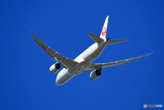 「空色」 JAL 787-8 JA844J