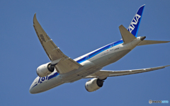 飛び立ち　ANA 787-8 JA813A