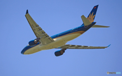 vietnam A330-223 VN-A376 飛行 