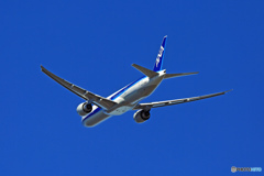 ANA 777-381 JA791A 飛び立ち　