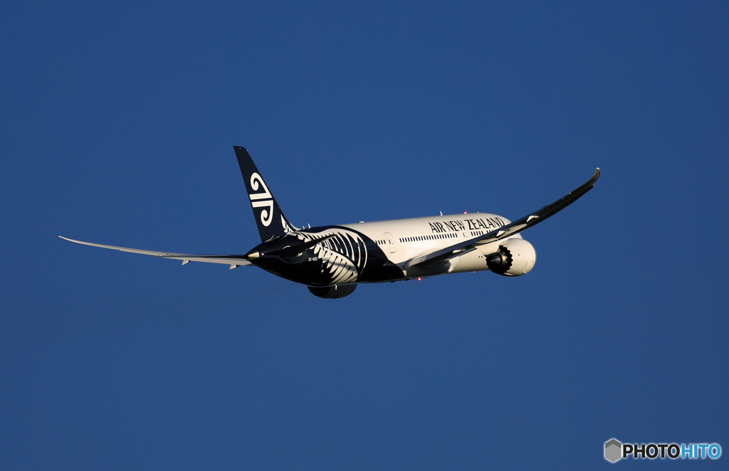 Air New Zealand 787-9 ZK-NZG　
