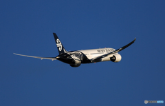 Air New Zealand 787-9 ZK-NZG　