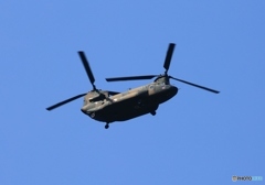 CH-47J ですか？  陸上自衛隊 /成田空港に２機・着陸！