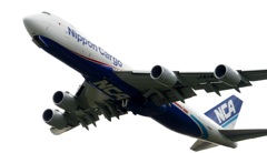 NCA 747-8F ｼｪﾌﾞﾛﾝ付
