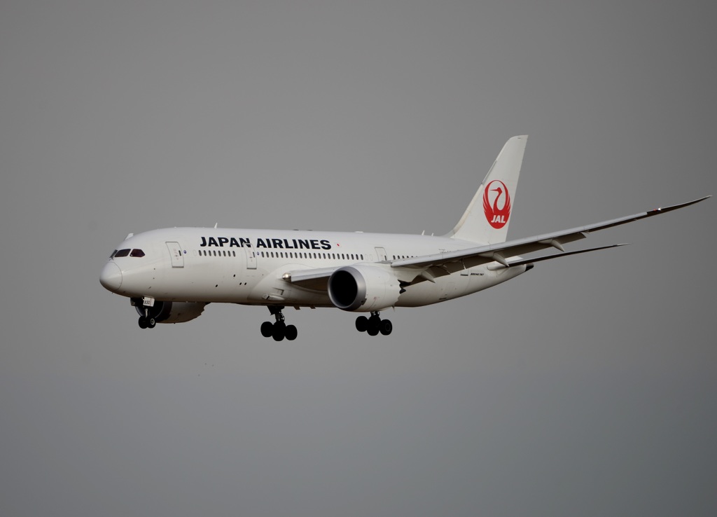 JAL 787-8 着陸