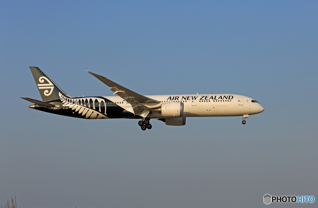 「良い天気」 Air New Zealand B787-9 ZK-NZC到着 