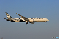 「良い天気」 Air New Zealand B787-9 ZK-NZC到着  「良い天気」 Air New Zealand B787-9 ZK-NZC到着