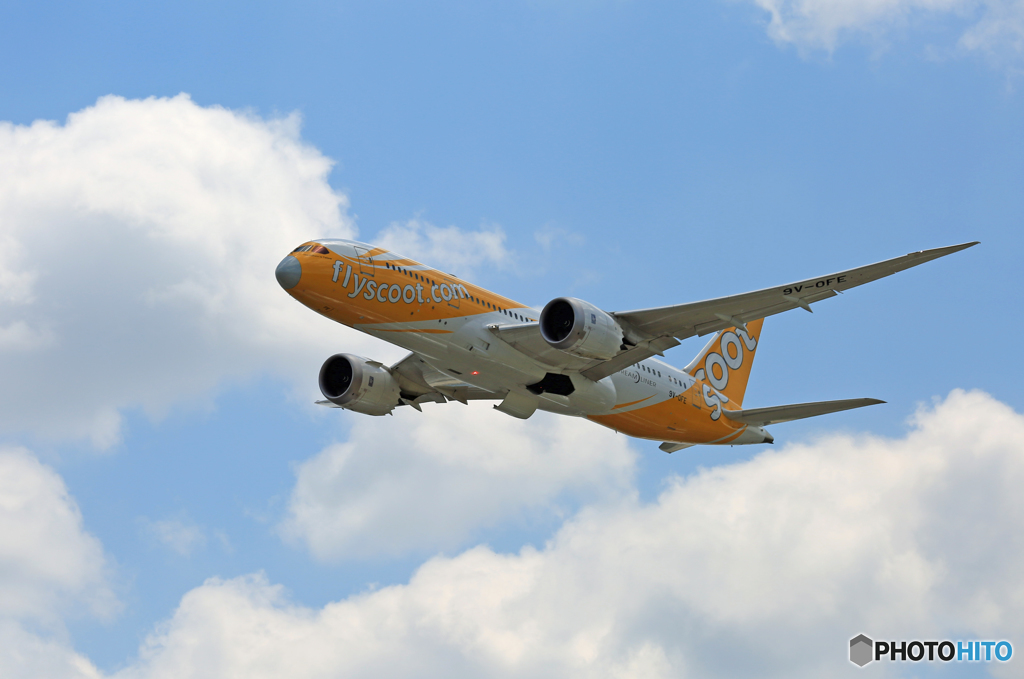 ☀ scoot 787-8 9V-OFE 飛び立ち 